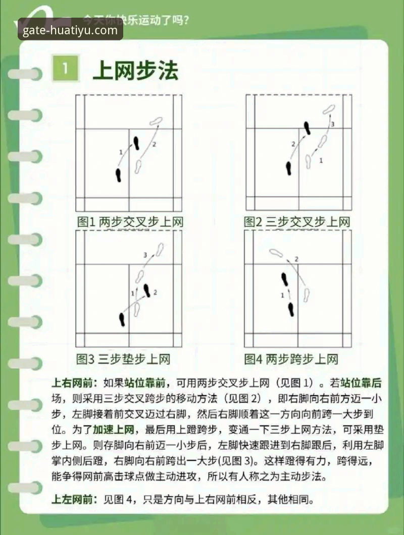 华体育网官网首页通道使用技巧：快速直达体育资讯的实用指南